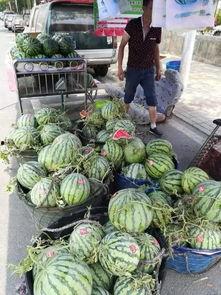 莱芜网红吃瓜事件,一场网络狂欢背后的真相与反思