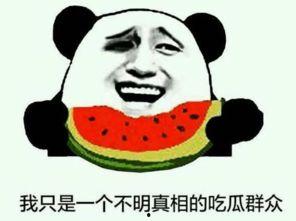 吃瓜网为什么这么火爆,揭秘网络热议背后的火爆之谜