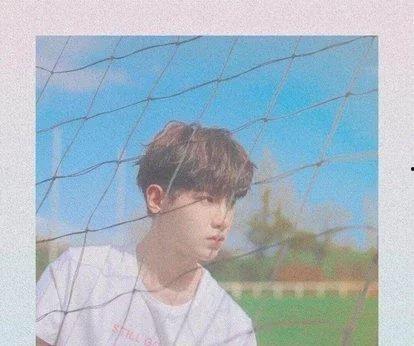 娱乐圈吃瓜爆料沈腾,揭秘幕后真相与幕后推手